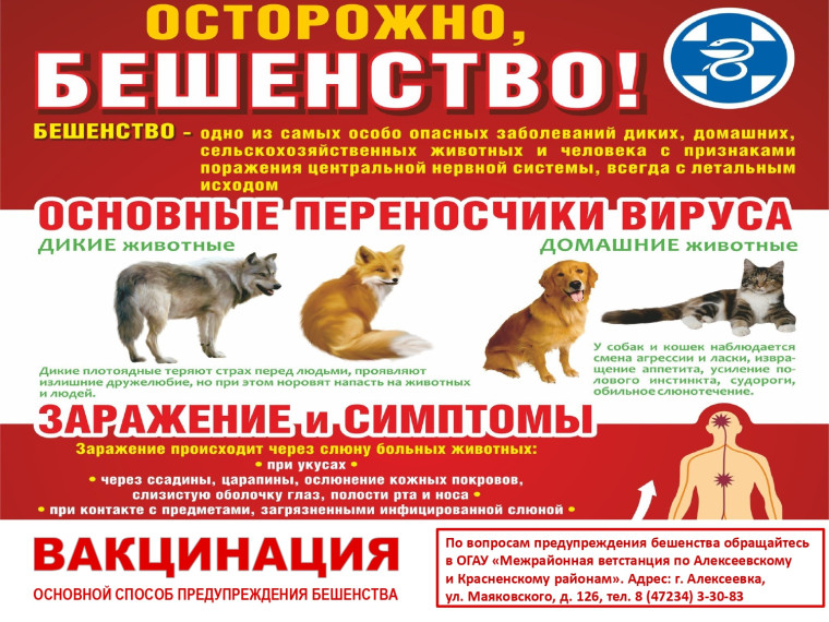 ОСТОРОЖНО! БЕШЕНСТВО!. ОСТОРОЖНО! БЕШЕНСТВО!.