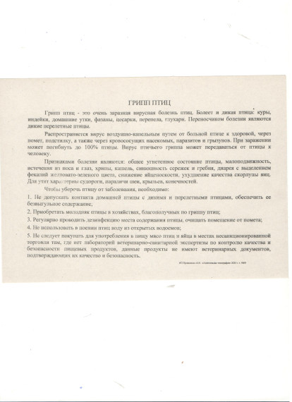 Грипп птиц. Грипп птиц.