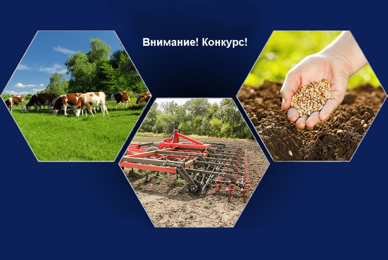 Конкурсные мероприятия по предоставлению грантовой поддержки малым формам хозяйствования. Конкурсные мероприятия по предоставлению грантовой поддержки малым формам хозяйствования.