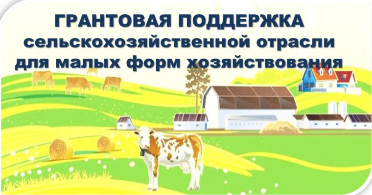 Программные мероприятия, направленные на поддержку малых форм хозяйствования на селе. Программные мероприятия, направленные на поддержку малых форм хозяйствования на селе.